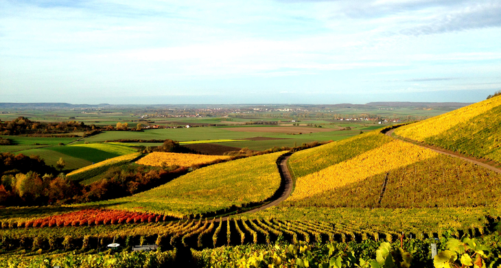 ÖFFENTLICHE TASTINGTOUR - IM HERBST 2026